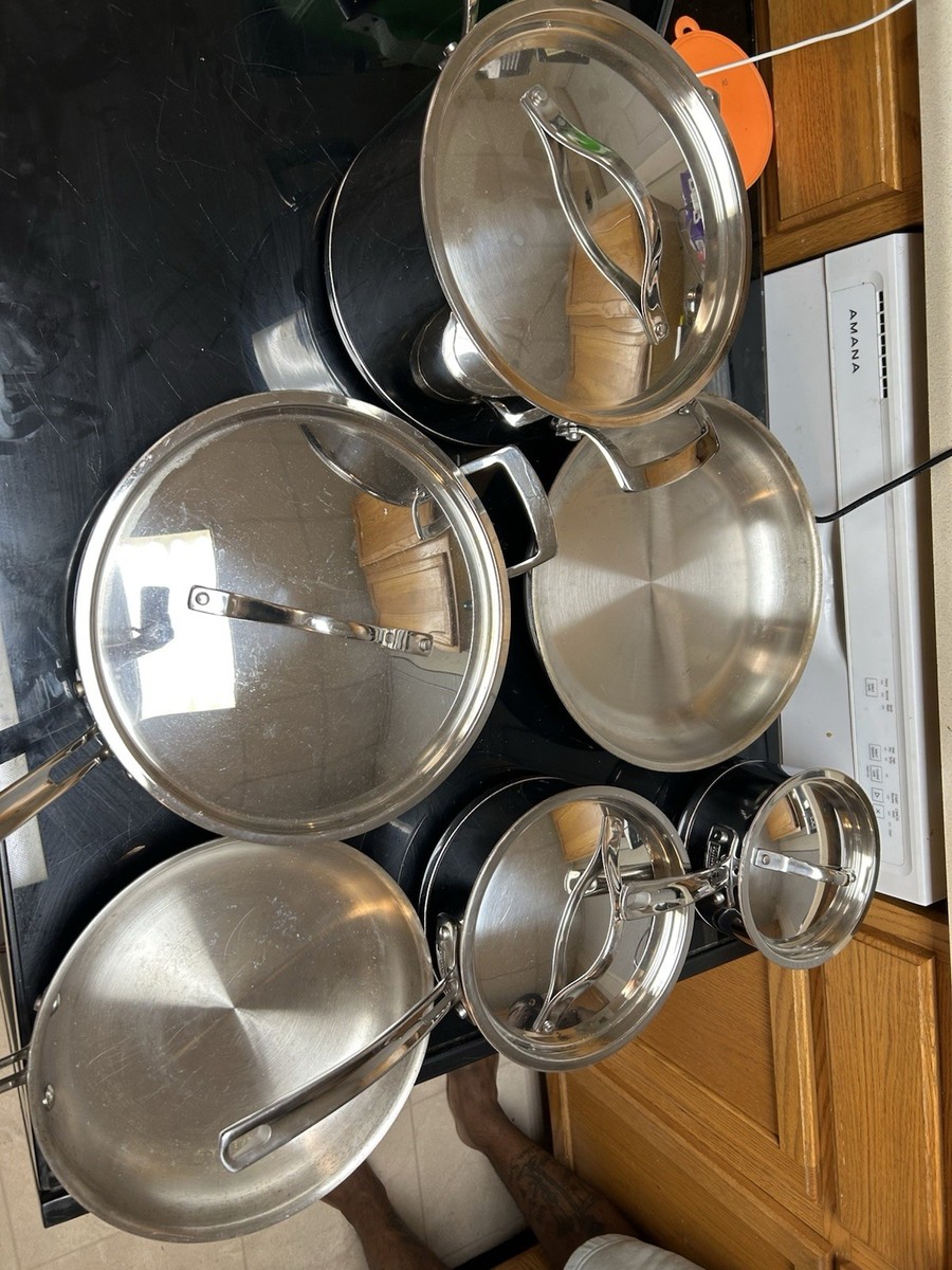 Kirkland Stainless Steel Ten-Piece Pan Set with Lids, Gas/Electric/Induction