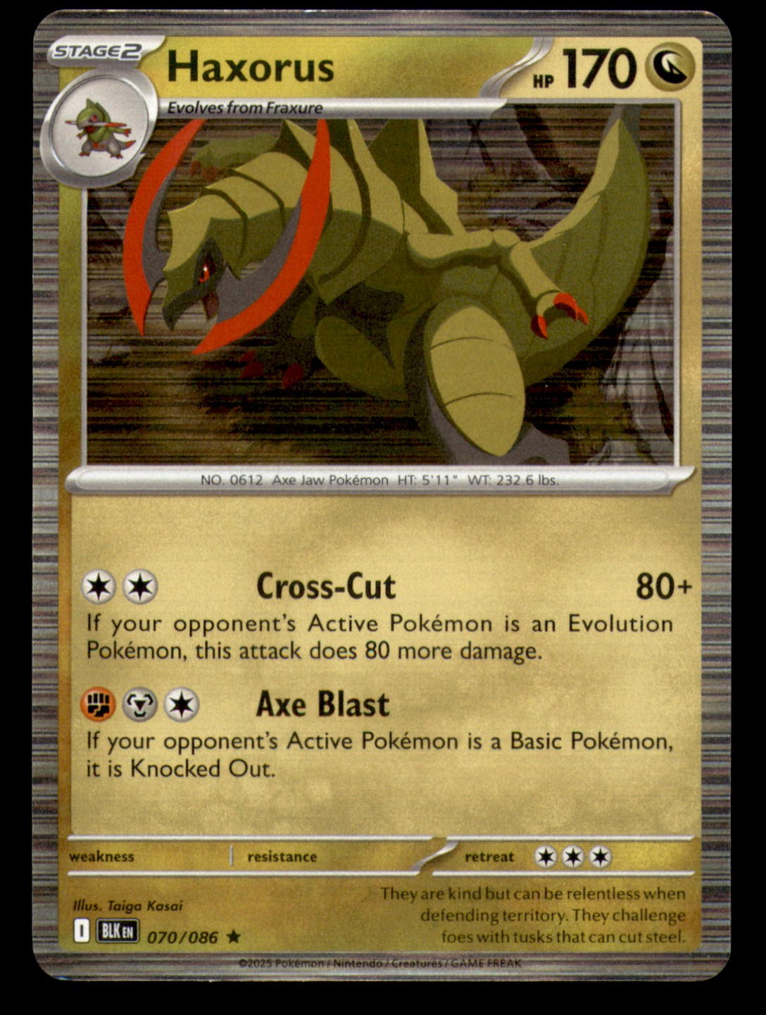 Haxorus 070/086 SV: Black Bolt Holo NM Pokemon TCG