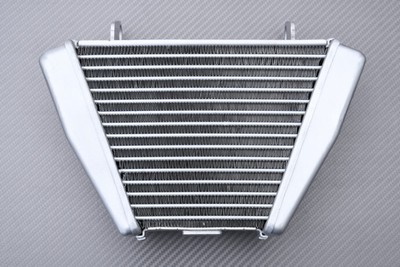 OEM Style Replacement Oil Radiator Cooling DUCATI DIAVEL 1260 / S 2019-2022