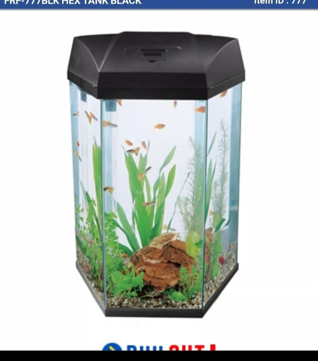 Fish Tank Petsmart Live Bait Top Fin Aquarium Petsmart 75 Gallon
