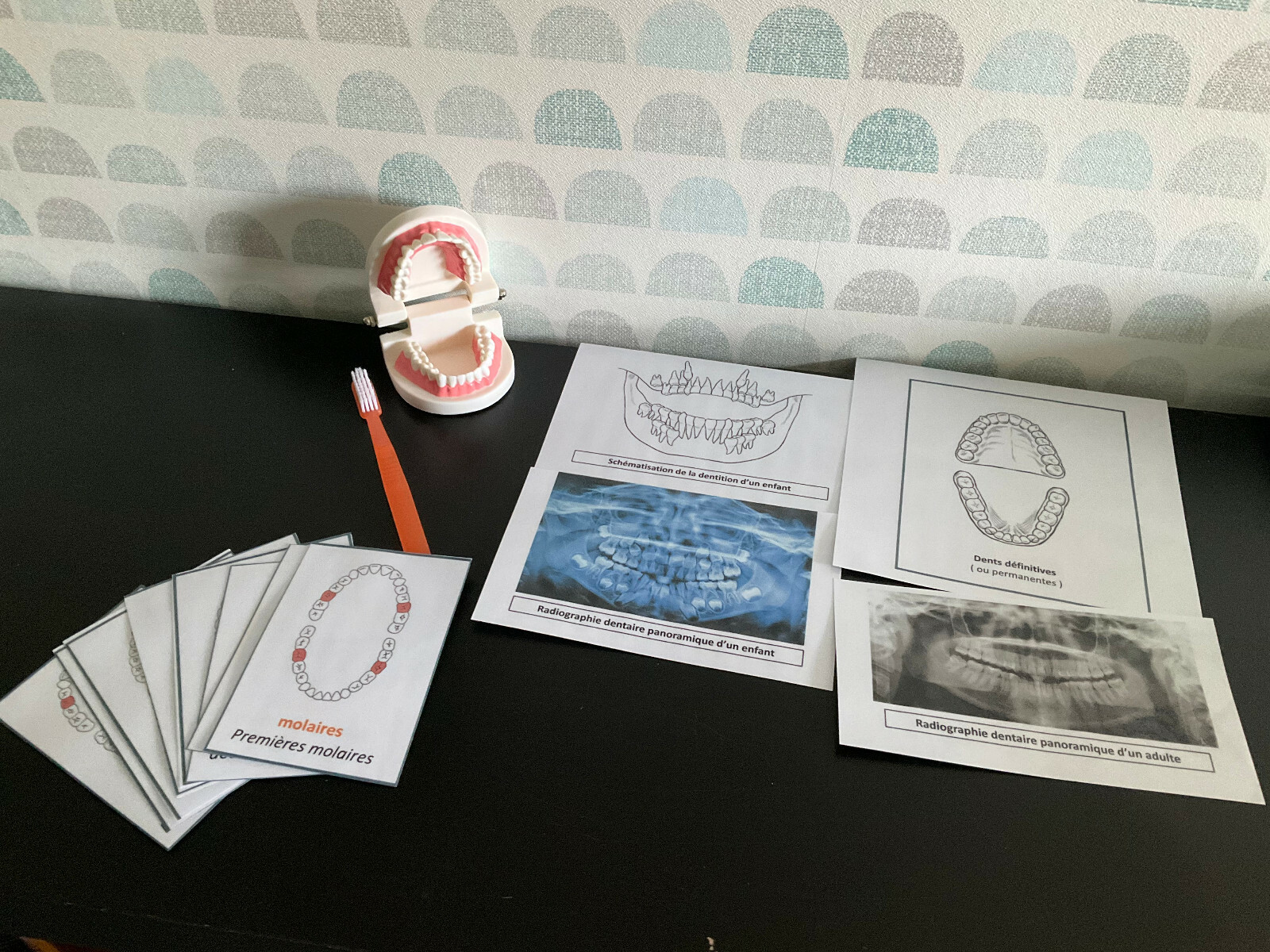 Kit dentaire pour apprendre avec brosse souple anti-étouffement
