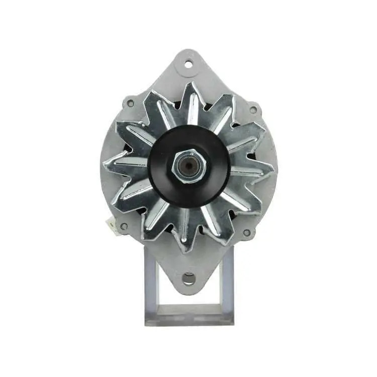 Alternatore 165.805.040.080 BV PSH - Immagine 2