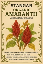 Stangar Organic Amaranth Seeds