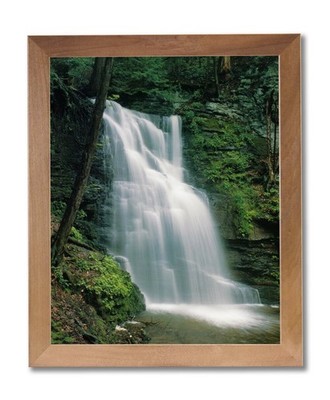Bushkill Falls Waterfall Outdoor Home Decor Wall Picture Honey Framed Art Print