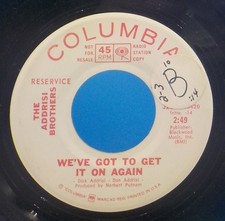 The Addrisi Brothers 45 We've Got To Get It On Again / Same - PROMO J8
