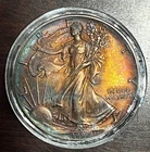 1992 Silver Eagle American Silver Dollar Toned