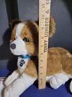 Nintendogs Pet and Play Corgi Dog Puppy Interactive Plush 2007 Certificate — photo 7