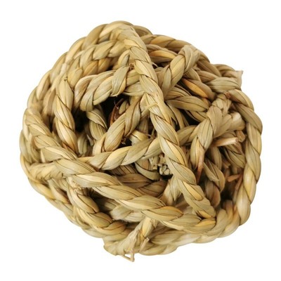 guinea pig chew toys