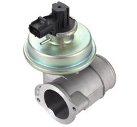 Magneti Marelli Agr-Ventil FüR Mondeo 3 Transit 2.0D 2.2D 2.4D 01.00-03.07 OE