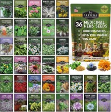Ultimate Medicinal Herb Seeds Variety Pack   36 Heirloom Non-GMO Healing Herbs