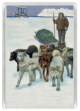 SIBERIAN HUSKY SLED DOG FRIDGE MAGNET GREAT GIFT