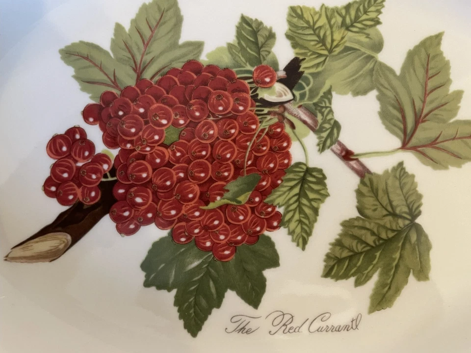 Portmeirion Pomona The Red Currants Steak Plate - Image 2 of 4