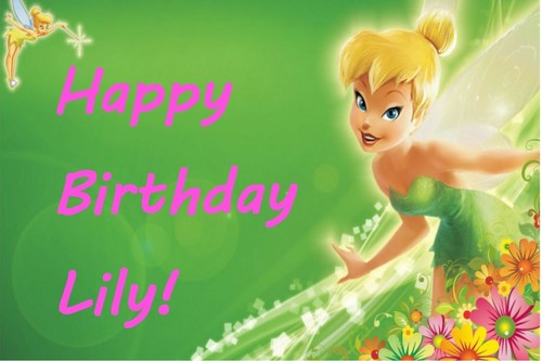 3x6 Tinkerbell Vinyl Geburtstagsbanner - Bild 2 von 2