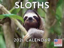 Sloth Calendar 2026 Sloth Gifts Monthly Wall Calender 12 Month