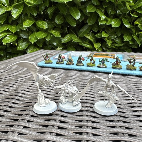 10 Hunters of Huanchi + 3 terrawing + cards Warhammer warcry Seraphon Painted - Picture 15 of 23