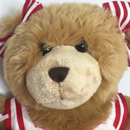 Build-A-Bear Cheerleader Stuffed Animal Toy Brown Teddy Bear EUC - Picture 2 of 9