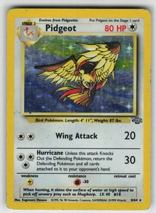 Pidgeot 8/64 Jungle Holo Rare