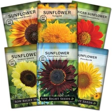 Sow Right Seeds - Large Sunflower Seed Collection for Planting - 6 Mix 