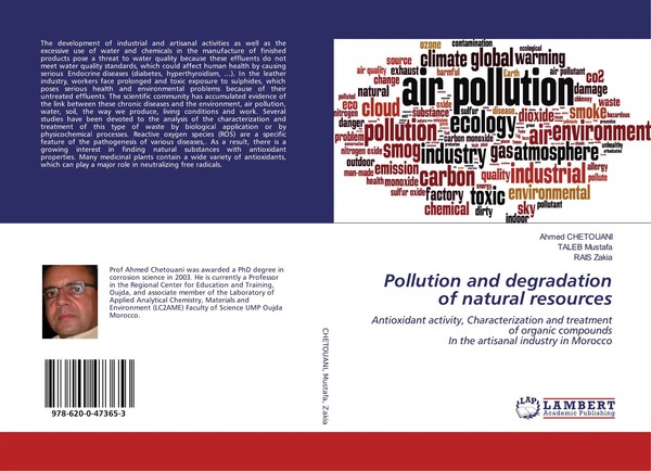 Ahmed Chetouani (U. A.) | Pollution And Degradation Of Natural Resources | Buch-image
