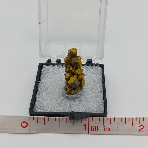 AESTHETIC Pyromorphite Crystal Thumbnail FRANCE Dk Green 1.25" Perky Display - Picture 8 of 9