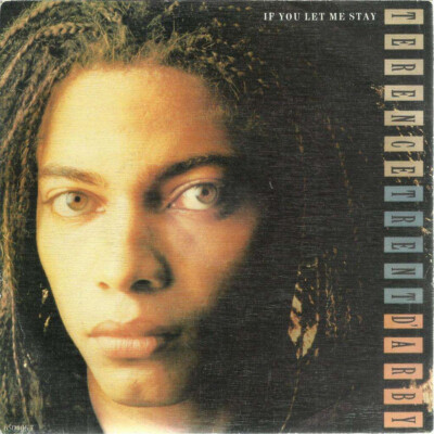 Terence Trent Darby レコード Terence Trent DArby - If You Let Me Stay / VG+ / 12