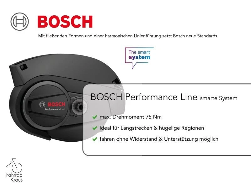 Pegasus Premio EVO 10 Lite COMFORT grau | 500WH | E-Bike Herren Trekking | 55cm - Bild 2 von 4