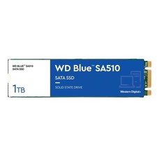 NEW Western Digital WD Blue SA510 M.2 SSD 1TB WDS100T3B0B-00AXS0