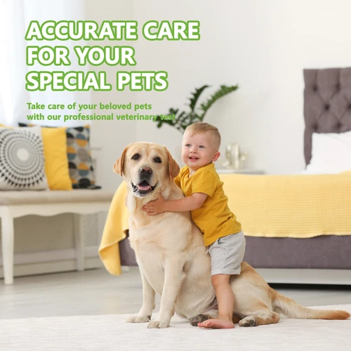 10Pack CDV - Canine Distemper Virus Home Test Kits for Dogs Veterinary Services - Picture 6 of 6
