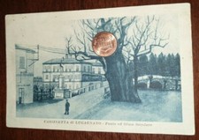Cartolina d'epoca paesag Italia Milano Cassinetta Lugagnano Ponte Olmo secolare
