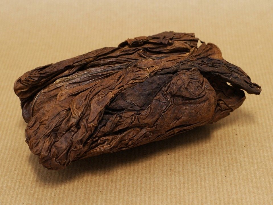 Chewing Tobacco Seed Grow Your Own Chew and Dip! 1,000+ Seeds eBay