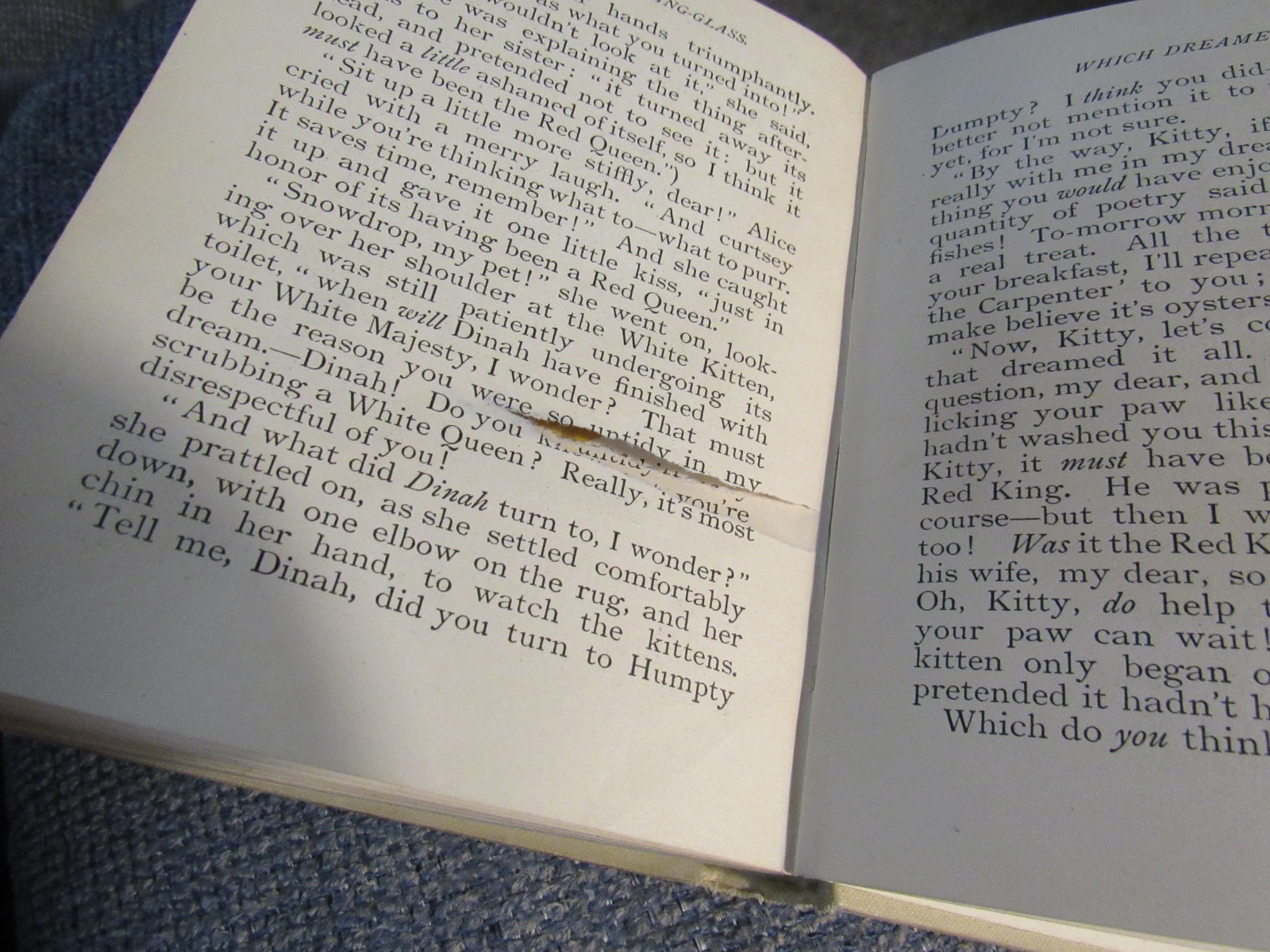 Through the Looking Glass and What Alice Found There by Lewis Carroll (1896)