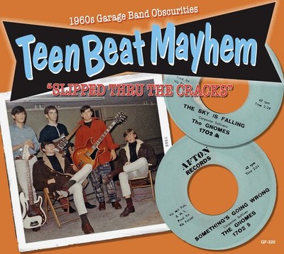 Various Artists - Teenbeat Mayhem -Slipped Through the Cracks (Various Artists)