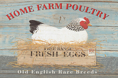 Holzschild 18x12 Home farm poultry fresh eggs Wand Deko Bar Kneipe Sammler Gesch