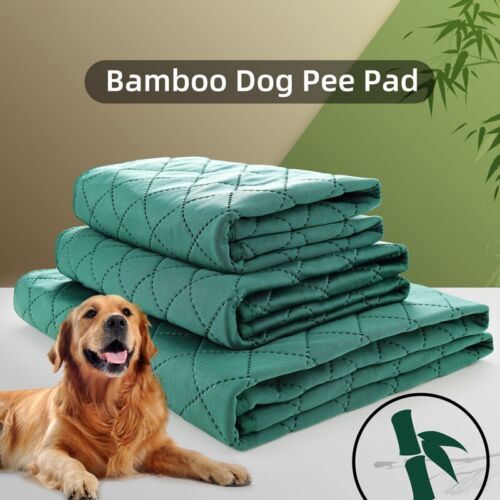 Dog Potty Drymate Potty Pad Green For Dogs Super Cats Drymate