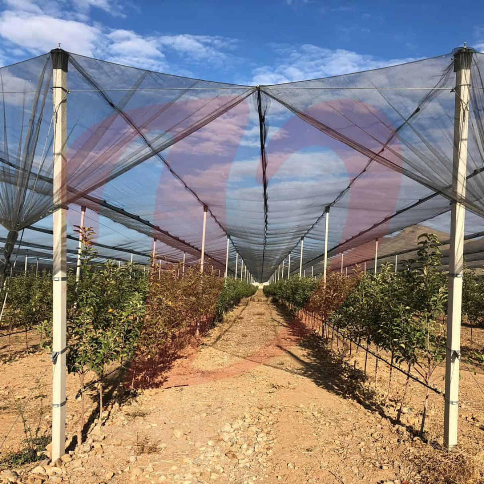 Arrigoni - Rete Telo Antigrandine Per Orto Coltivazioni Coperture Protezione Da 2X17 Metri - Foto 3