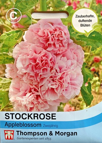 Stockrose 'Appleblossom' Alcea rosea, zart duftend, Samen, 28258 eBay