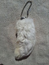 Lucky Rabbits Foot