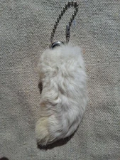 Lucky Rabbit's Foot
