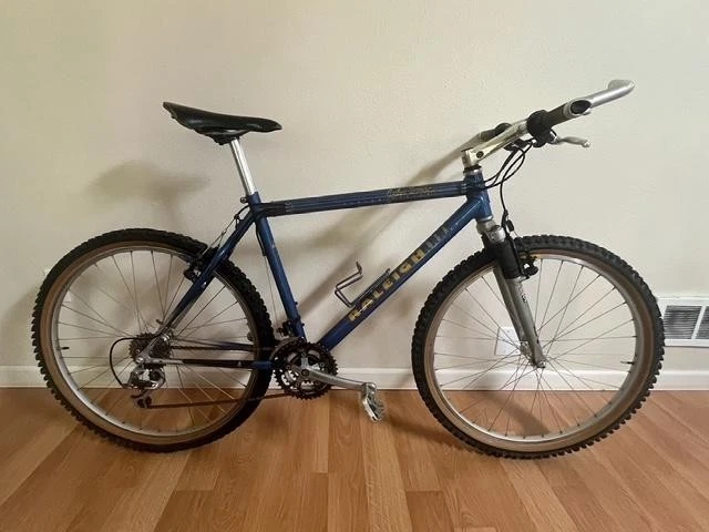 Raleigh Blue Bikes for sale | eBay