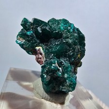 Seltene Dioptas XX Stufe, grün Republik Kongo 24*17*12mm