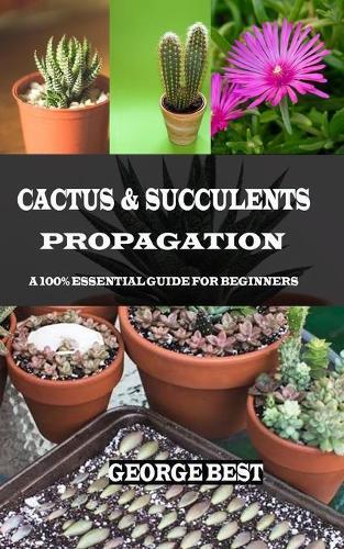 George Best Cactus & Succulents Propagation (Paperback)