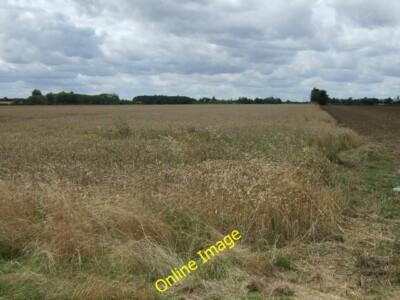 Foto 6x4 Erntefeld südlich von Abbots Ripton um 2014