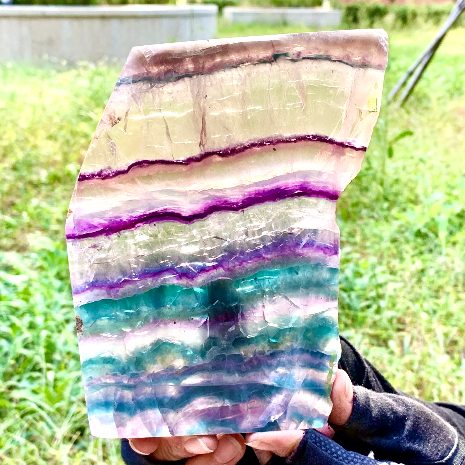 1.56LB Natural Rainbow Fluorite Crystal Flake Raw Stone Specimen