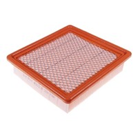 Blue Print Luftfilter Motor Air Filter ADG022130