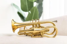 QUEENBRASS Echo Cornet in Bb 4 Valve Brass Finish with Case and Mouthpiece Band