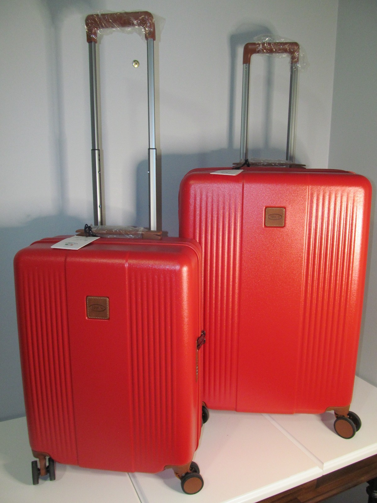 Set Carry On & Check In-nwt