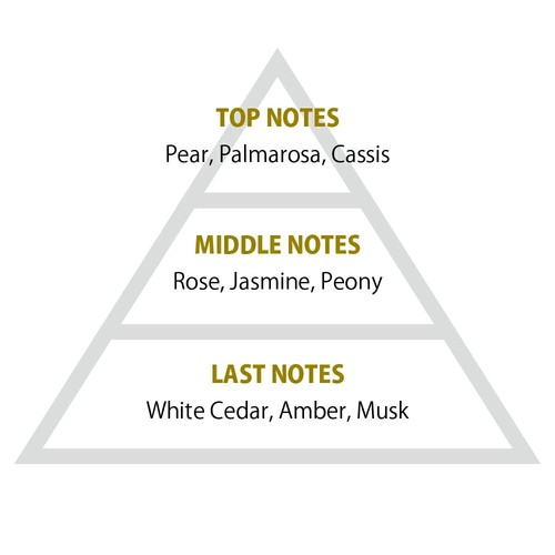 Primaniacs × Frieren Beyond Journey's End FERN Fragrance Perfume Cospley 30ml JP - Bild 4 von 4