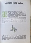 Foto 7 di 19