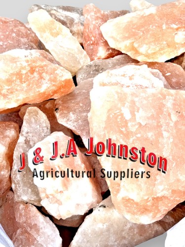 PINK HIMALAYAN ROCK SALT | LUMPS | 25kg NET | ORGANIC | FREE POSTAGE - 第 1/1 張圖片