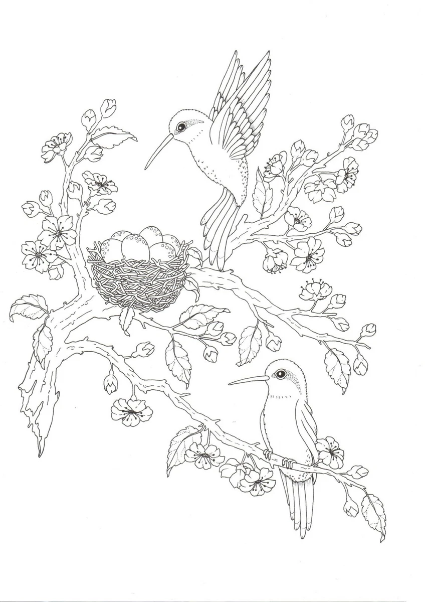 SEASONS embroidery iron on transfers 1334